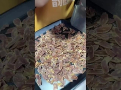 Máquina de corte manual