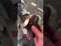 Ervas medicinais em fatias